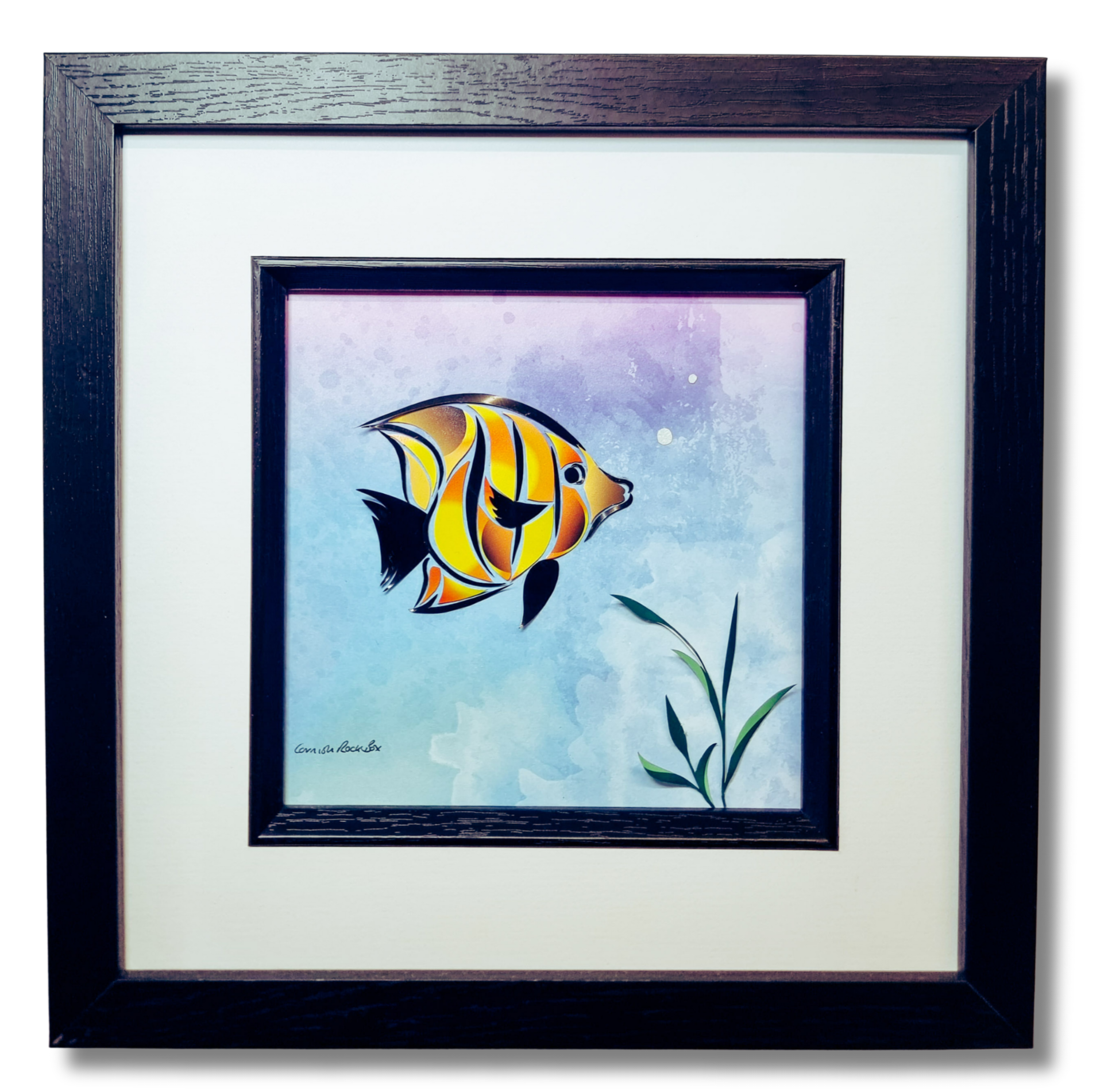 The Angelic Angel Fish