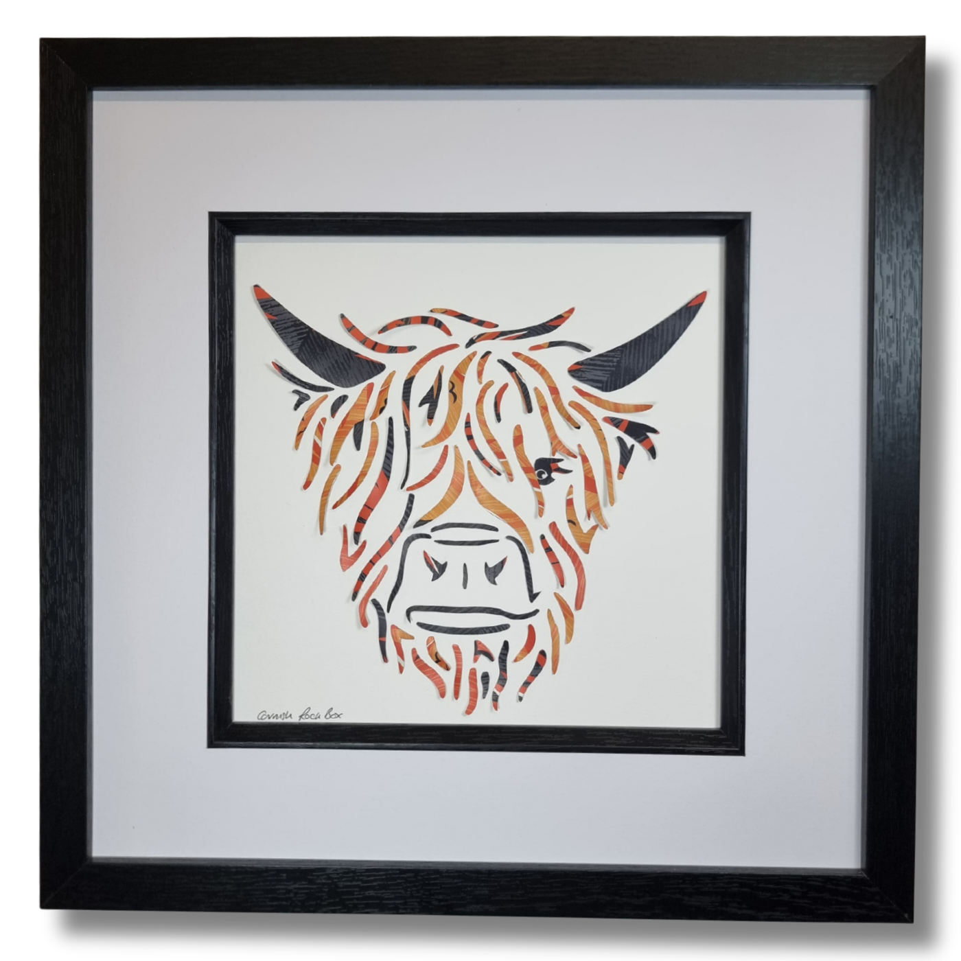 The "Lush" Hairy Coo