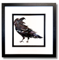The "Prankster" Crow