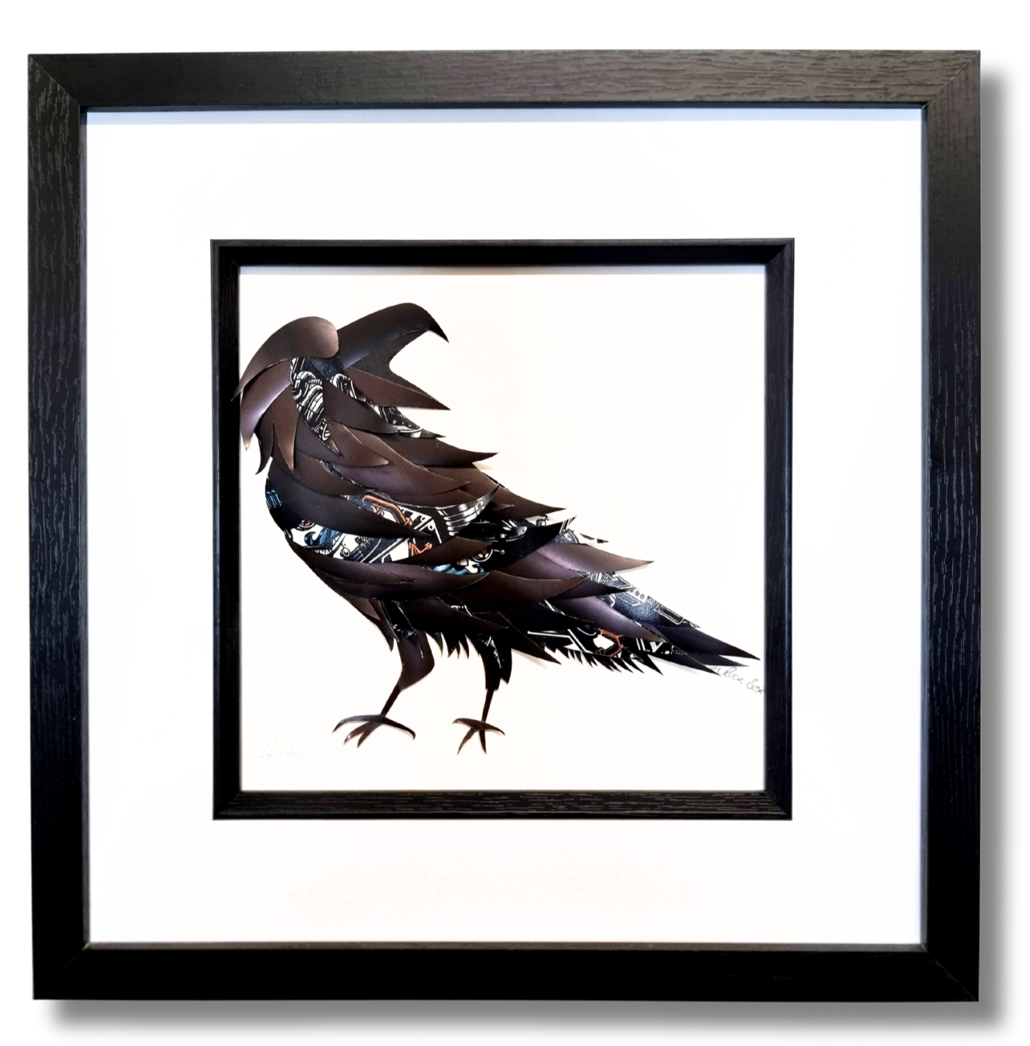 The "Prankster" Crow