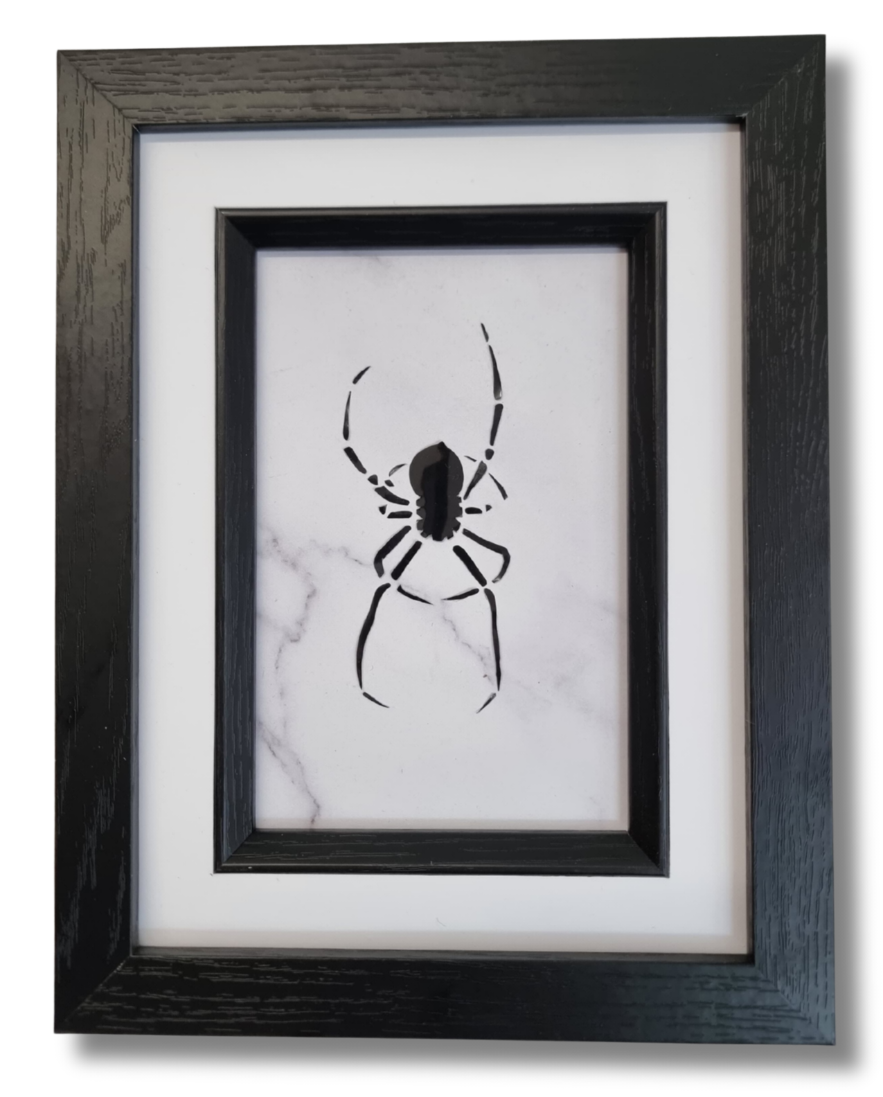 Mini Spider