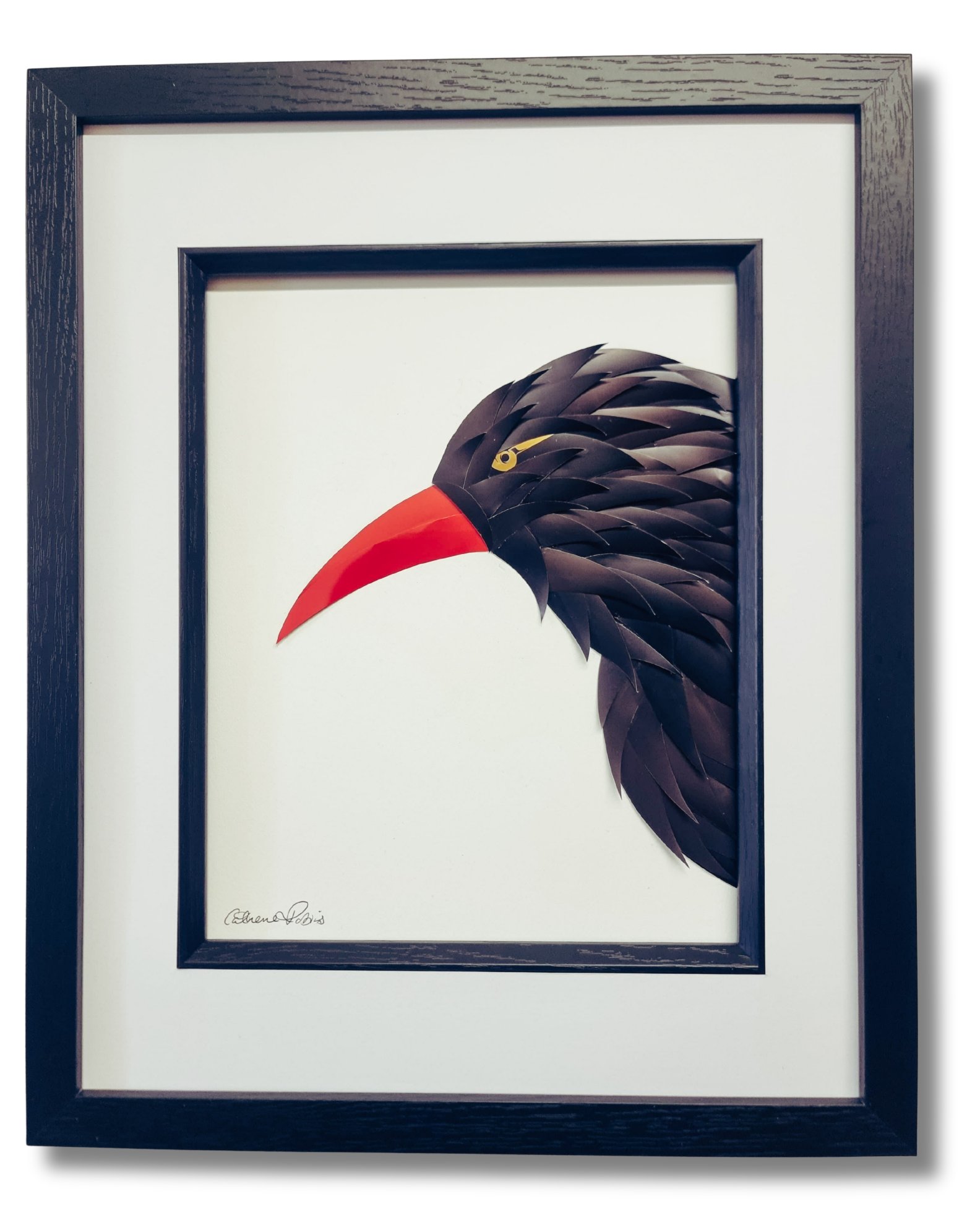The Cornish Chough