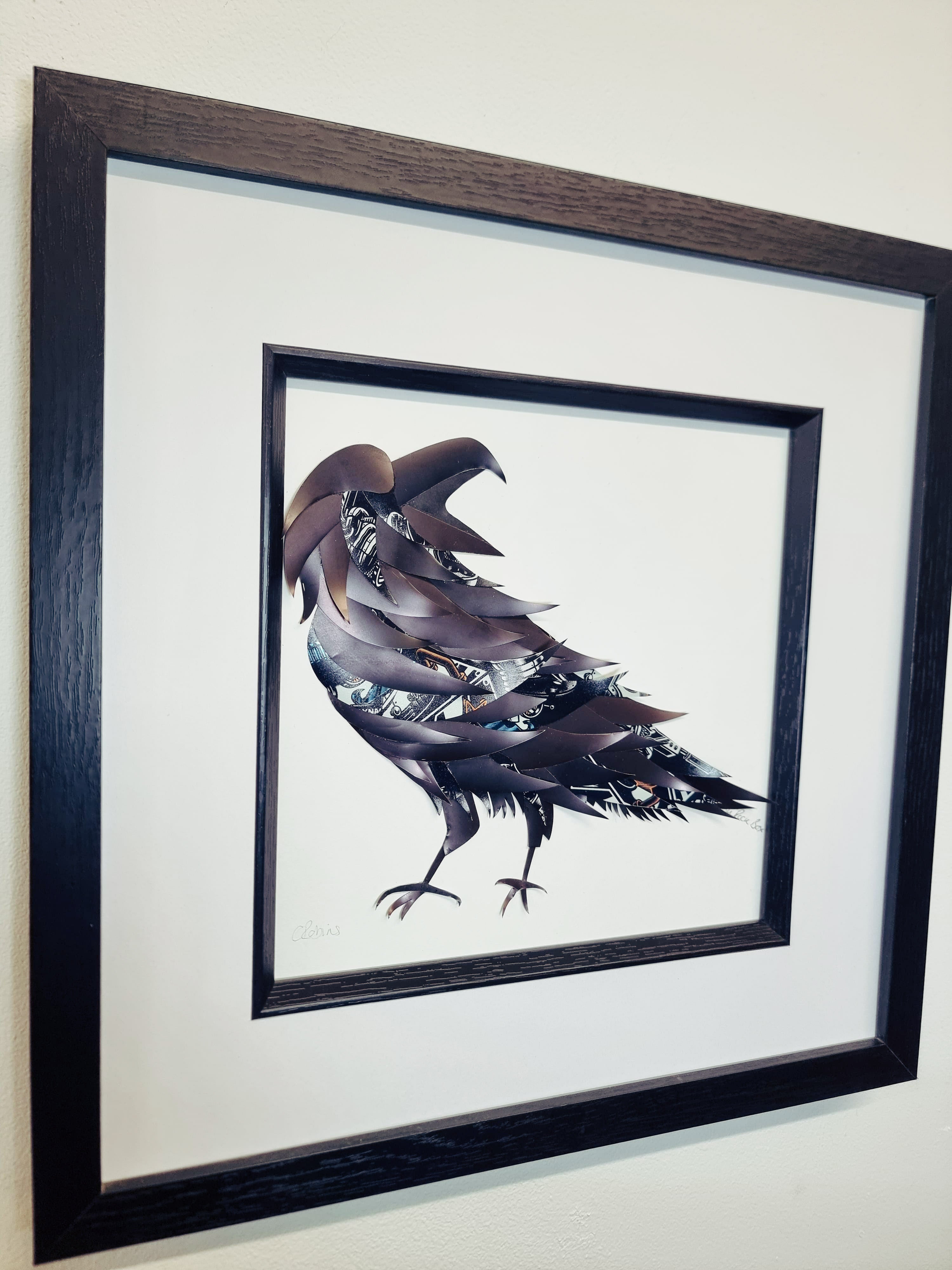 The "Prankster" Crow