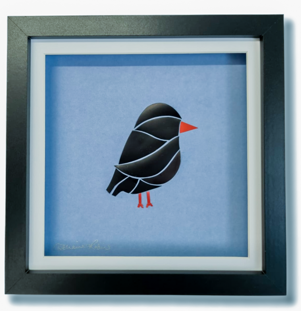 Cornish chough