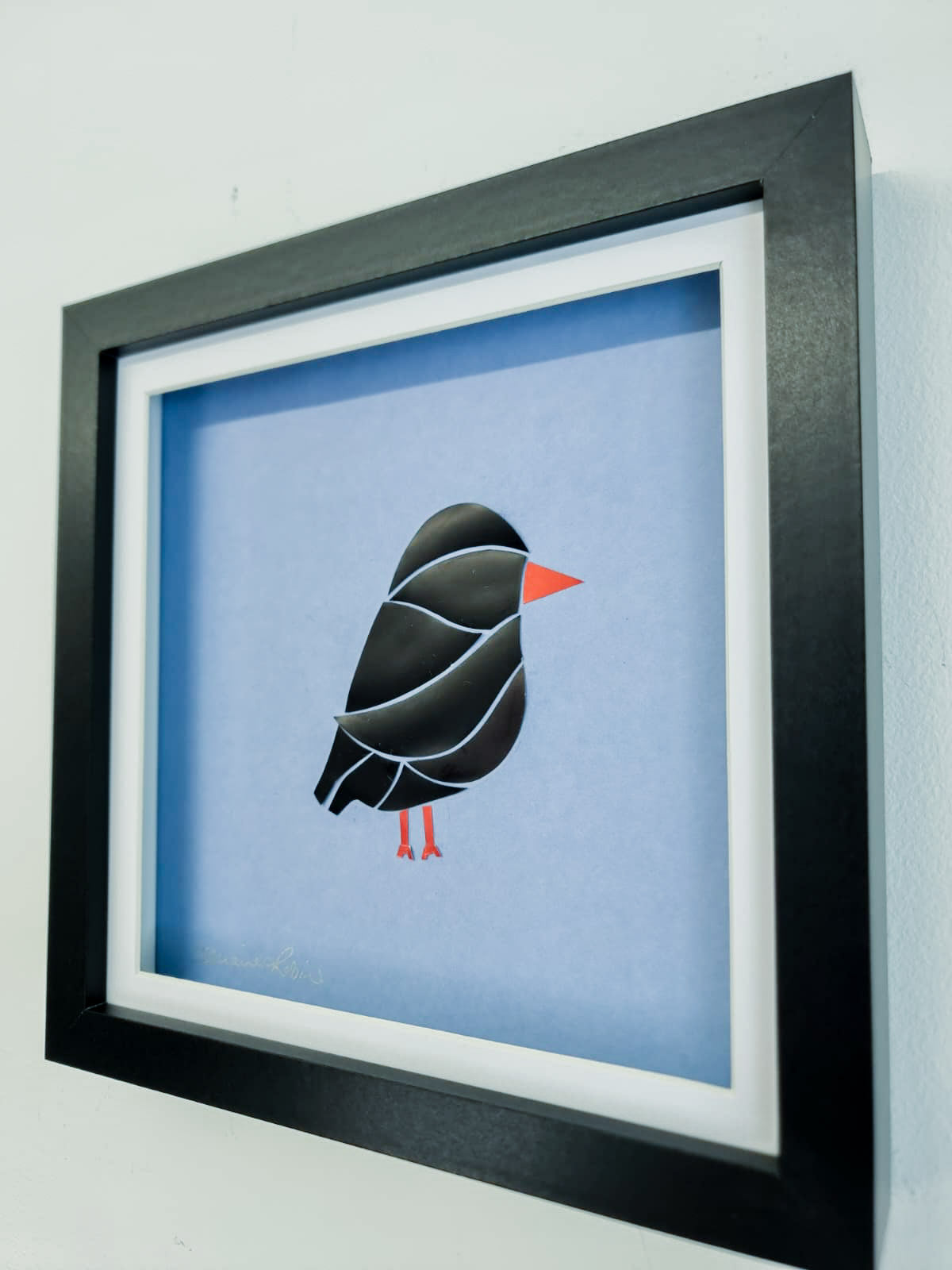 Cornish chough