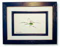 Green Body Spider