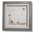 Seagull shell picture
