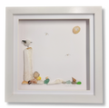 Seagull shell picture