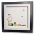 Seagull shell picture