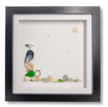 Seagull shell picture