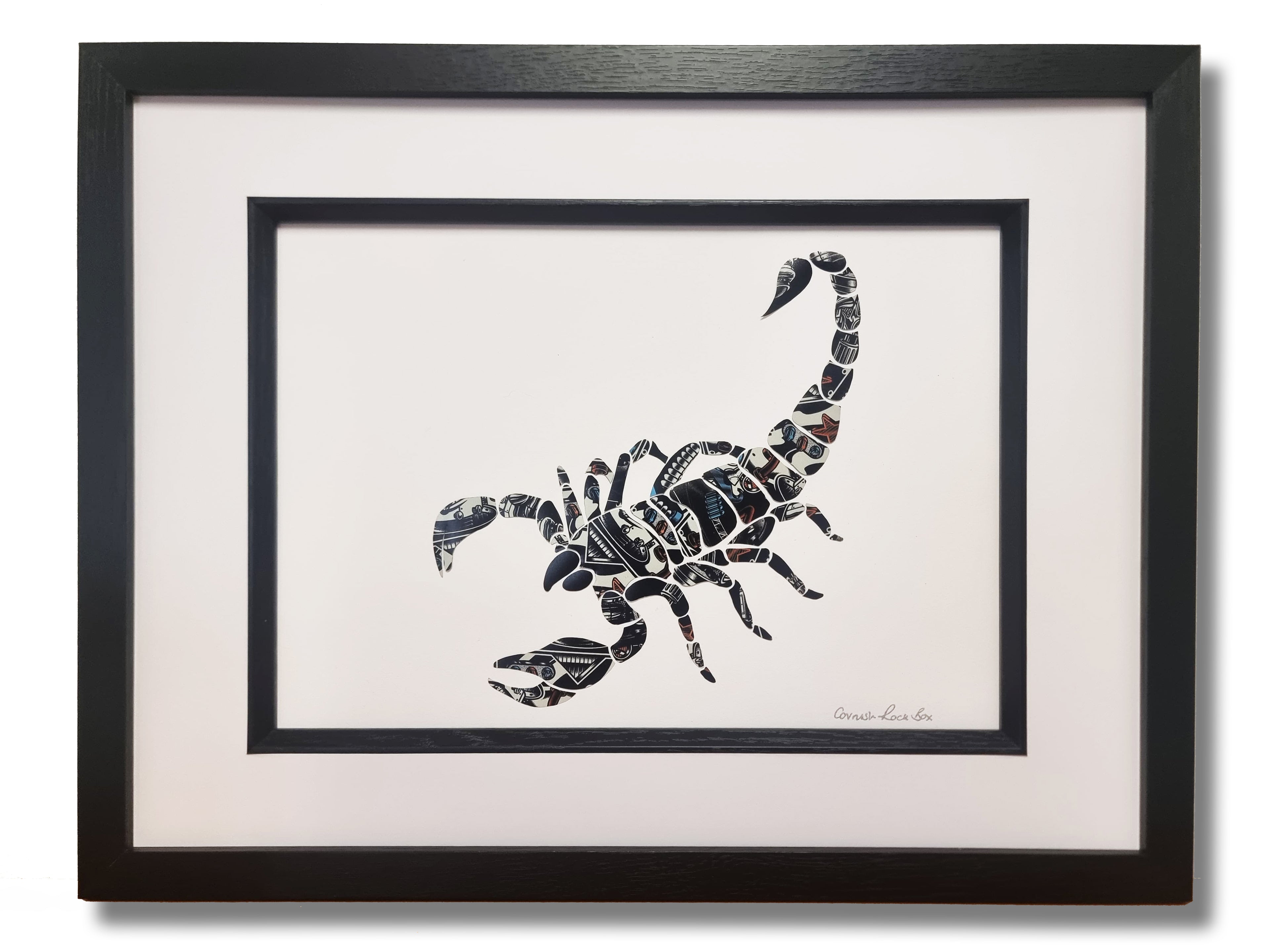 The Stealth Scorpion