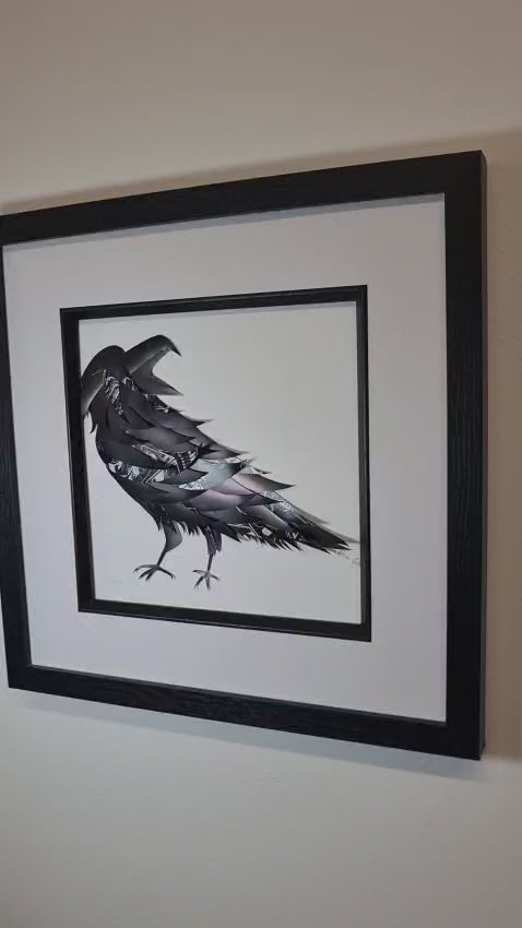 The "Prankster" Crow