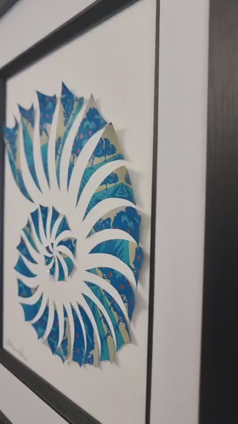 Ammonite
