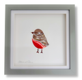 Robin Robins