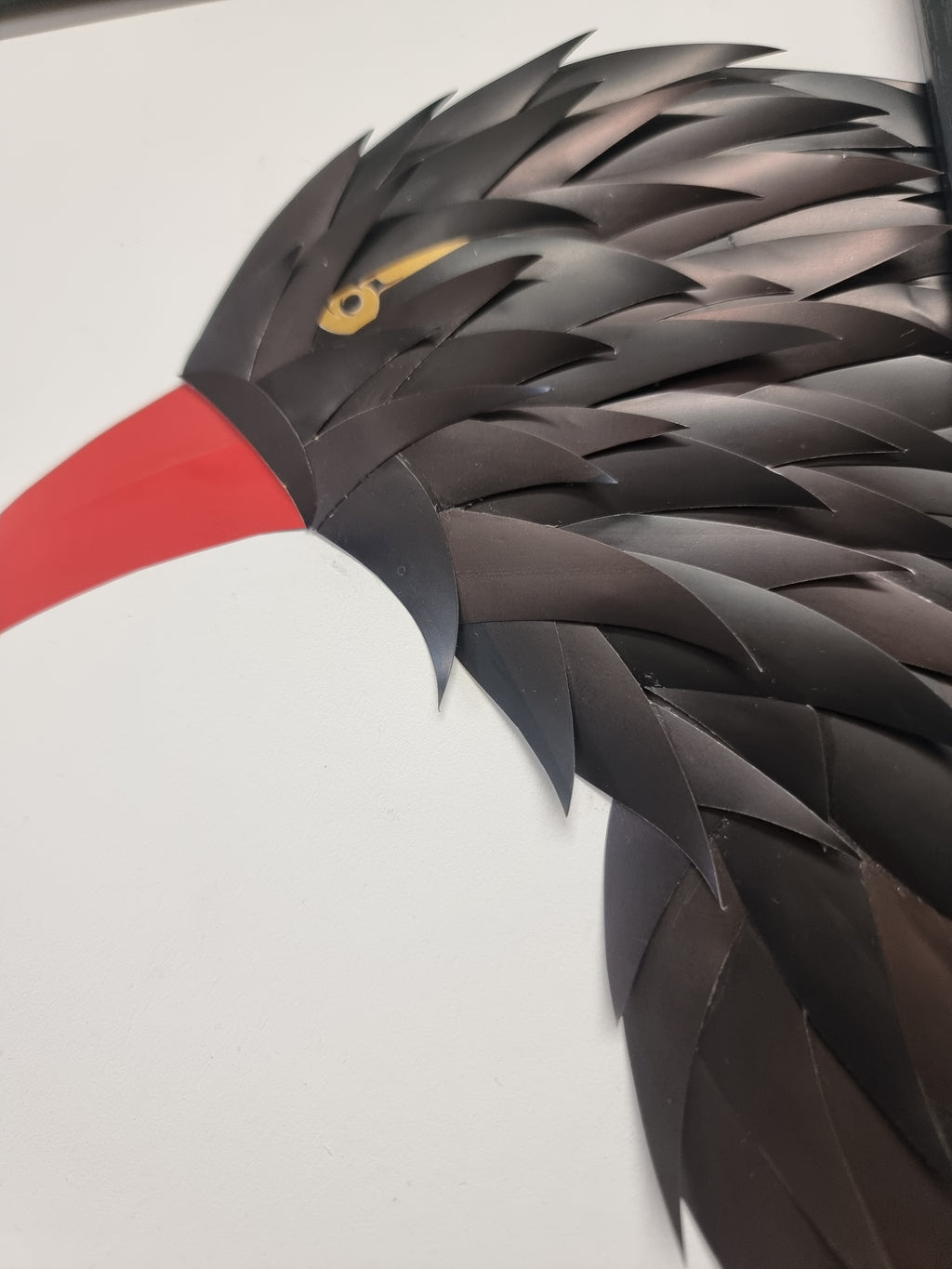 The Cornish Chough